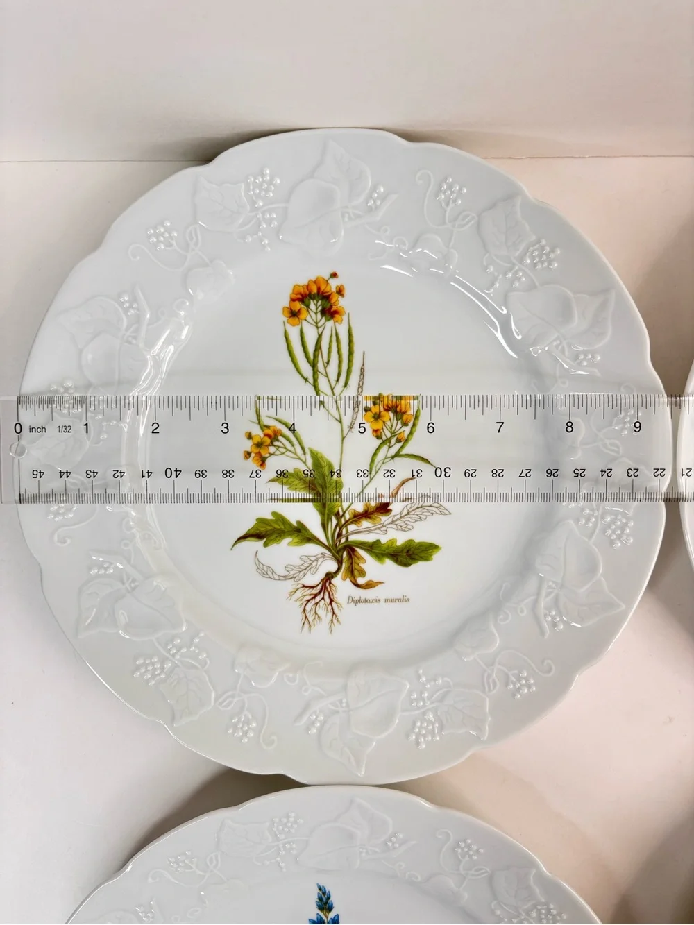 Dansk Ivy Embossed White Porcelain Flower Botanical Luncheon Plates France Set 4